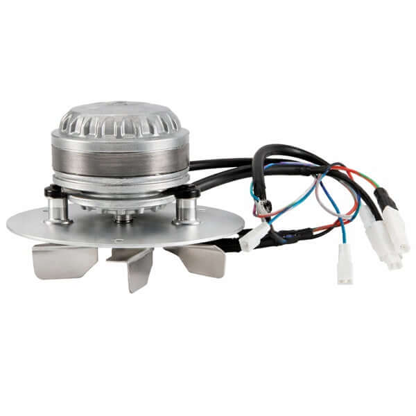 Extracteur de fumées avec moteur sphérique pour Extraflame poêle à granulés, détail du moteur.
